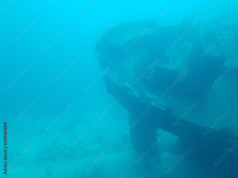 beautiful view underwater of the atlantic ocean in the sea of Aruba