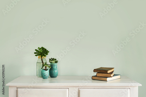 hall table with plant, books and blank wall photo