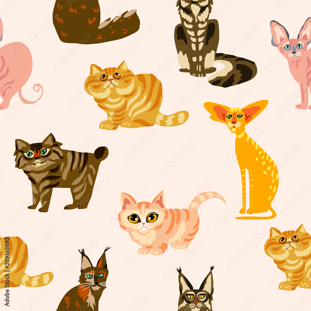 Cartoon cats seamless pattern,  Illustration  breeds of cats