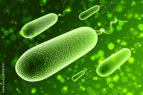 3D illustration of bacteria Escherichia coli, Salmonella photo