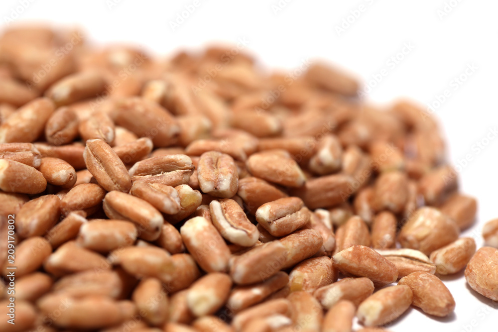 Dinkel Dinkel