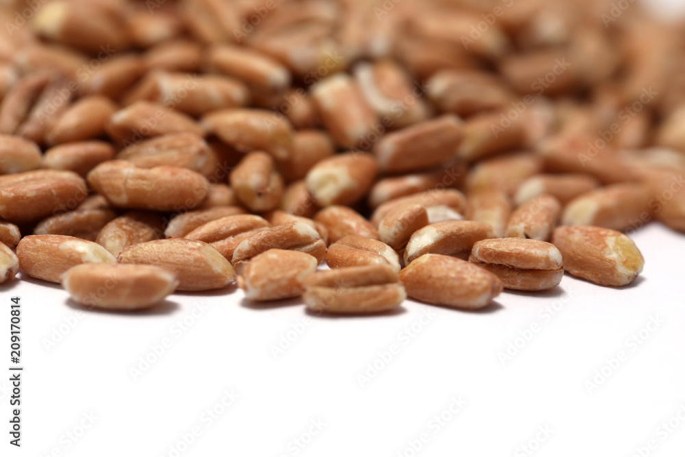Dinkel Dinkel