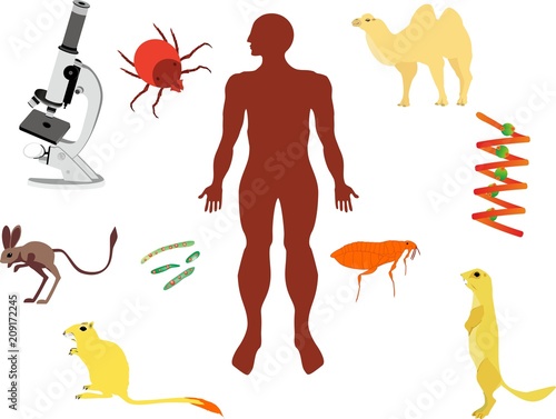 Concept illustration of plage infection. Human body silhouette and elements of plague diseases, rodents, camel, microbe, flat vector illustration