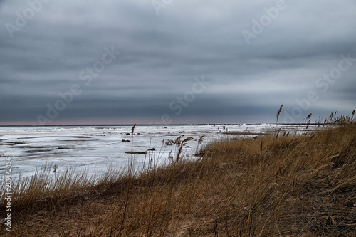 landscape with frozen sea, sandy beach and dry grass on it © keleny