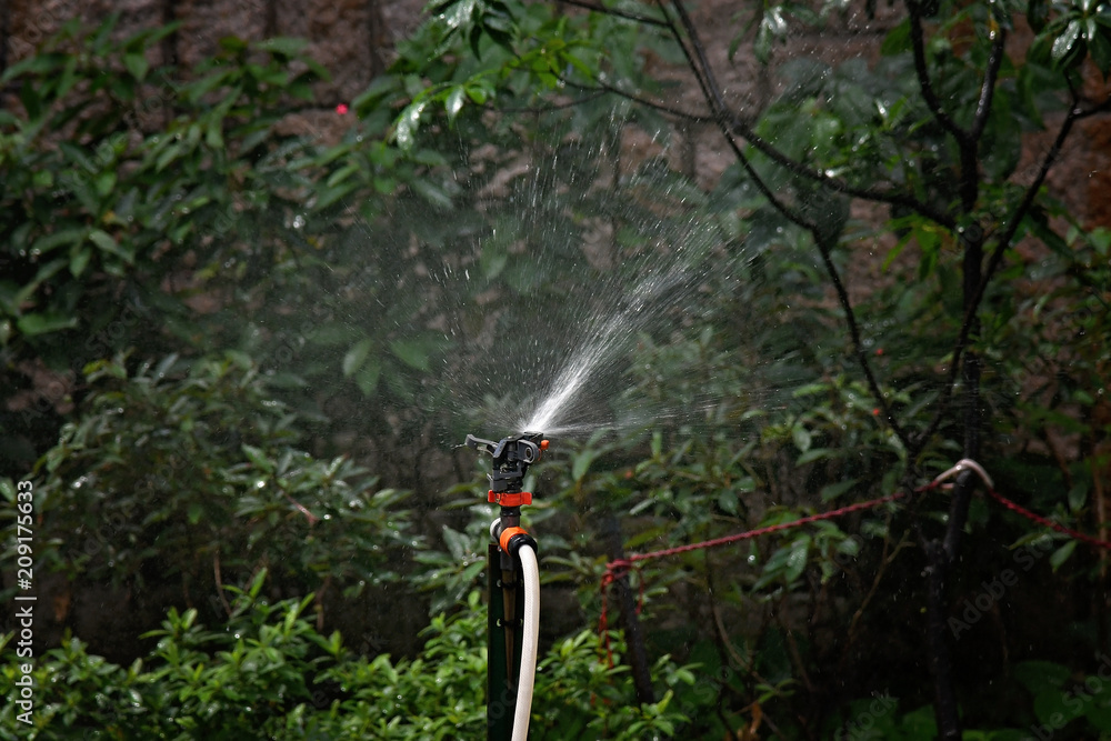 Naklejka premium The watering machine sprinkles greens