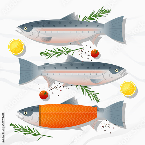 Set of fresh raw salmon fish and spices isolated on marble stone background, vector, illustration