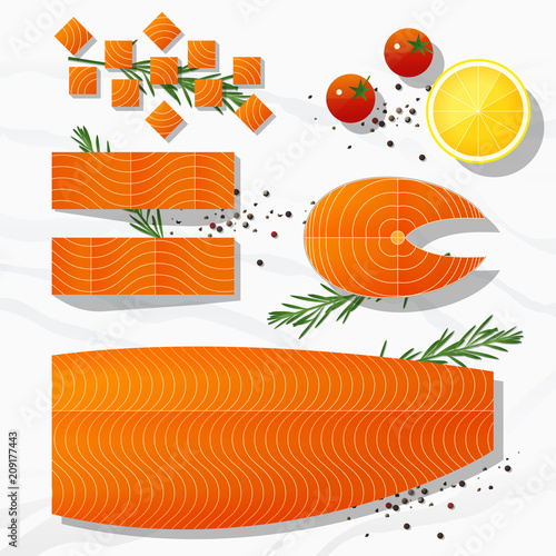 Set of fresh raw salmon fish and spices isolated on marble stone background, vector, illustration