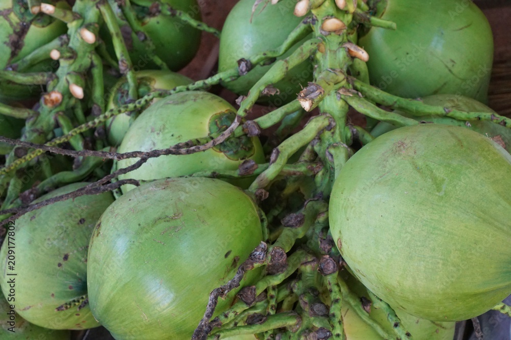 Fresh coconut background, green coconuts, fruit,