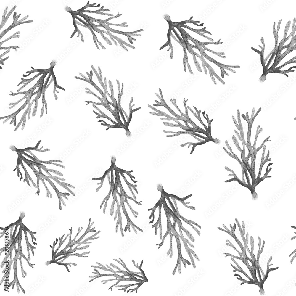 watercolour coral pattern watercolour coral pattern
