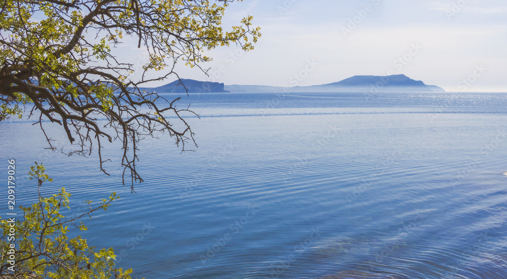 Seascape with mountains on the horizon and tree branches in the foreground.Crimea. Seascape with mountains on the horizon and tree branches in the foreground.Crimea.