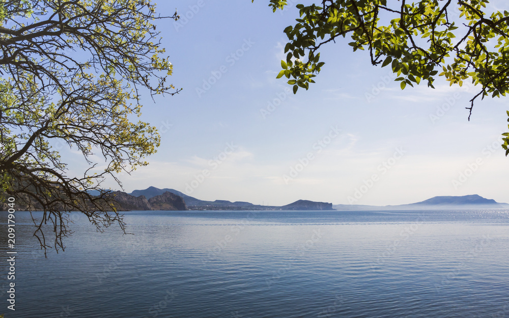 Sea space framed by branches and leaves of trees in the foreground.Crimea.