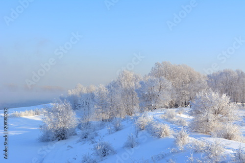 Winter panorama with snow covered trees. Beautiful landscape of wonderland. © Happy Dragon