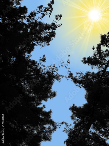  иллюстрация черного контура деревьев на белом фоне и желтого солнца и голубого неба 