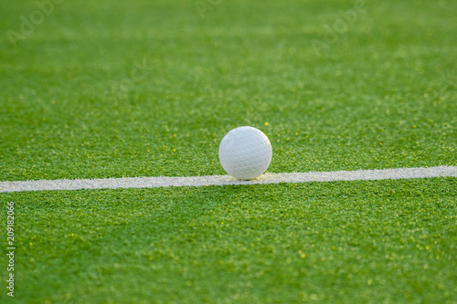 White ball for playing field hockey on the grass background