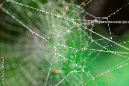 Spider web background