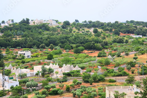 the rural view in Puglia, Italy