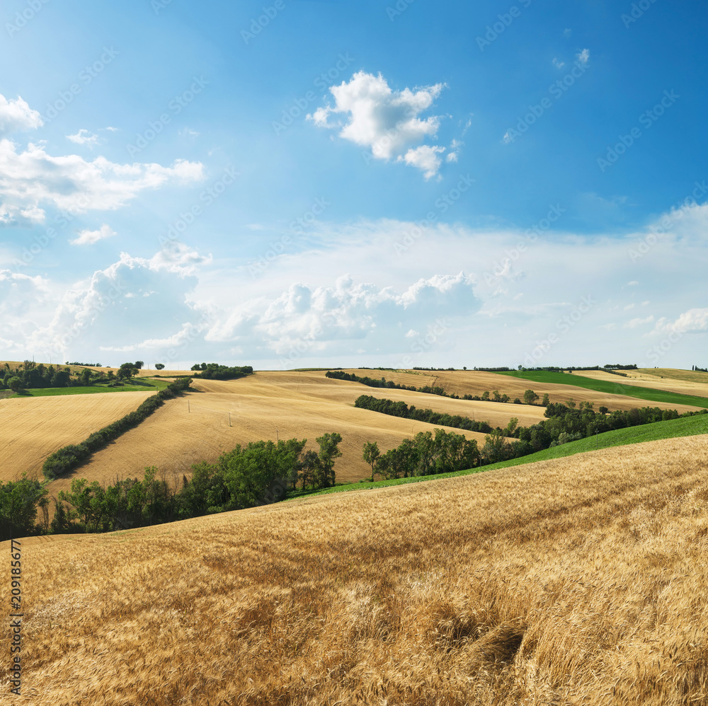 Countryside landscape, cultivated fields and blue sky with clouds