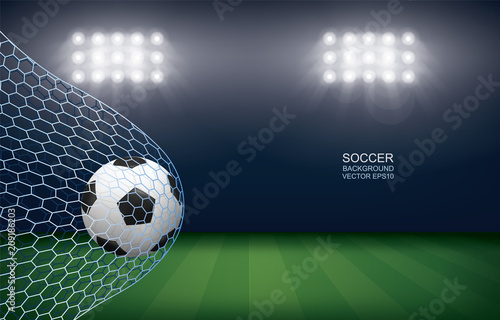 Soccer football ball in soccer goal with soccer field stadium background. Vector.