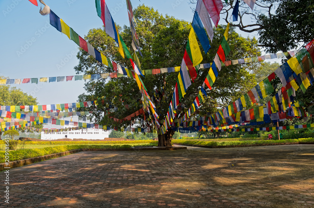 Buddhist flags in tree