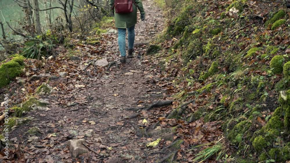 Unidentified Young Woman Tourist Walking In Warm Clothes In The Autumn Picturesque Forest And Admiring The View Unidentified Young Woman Tourist Walking In Warm Clothes In The Autumn Picturesque Forest And Admiring The View