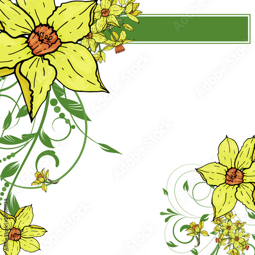  Vector hand drawing  Narcissus flowers background