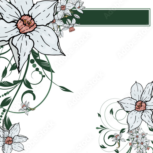  Vector hand drawing  Narcissus flowers background