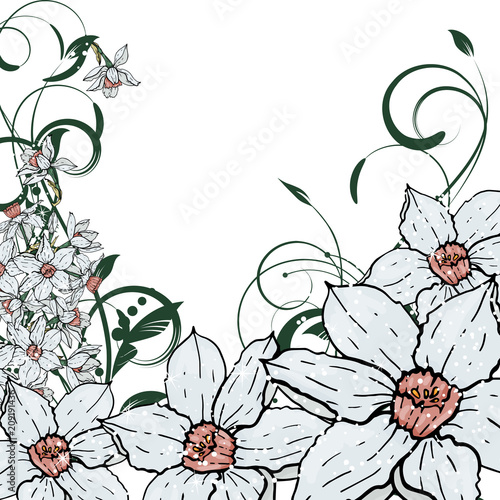  Vector hand drawing  Narcissus flowers background