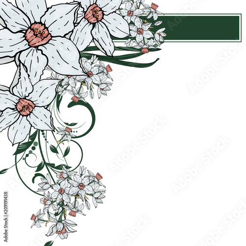  Vector hand drawing  Narcissus flowers background