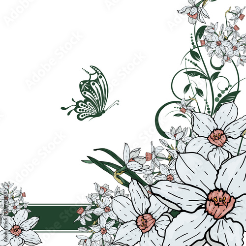  Vector hand drawing  Narcissus flowers background