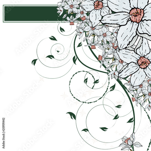  Vector hand drawing  Narcissus flowers background