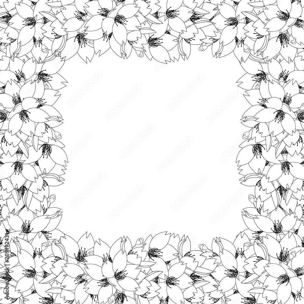 Fototapeta premium Sakura Cherry Blossom Flower Outline Border