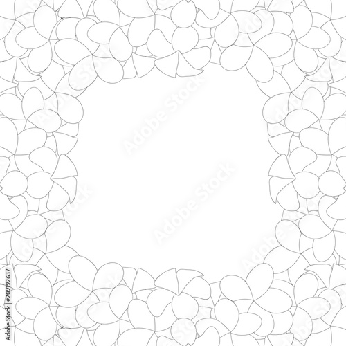 Plumeria Border Outline