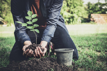 Young man planting the tree in the garden as earth day and save world concept, nature, environment and ecology