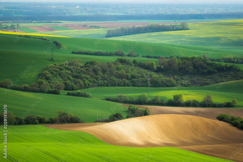 Moravian fields at spring near Strazovice, Czech Republic