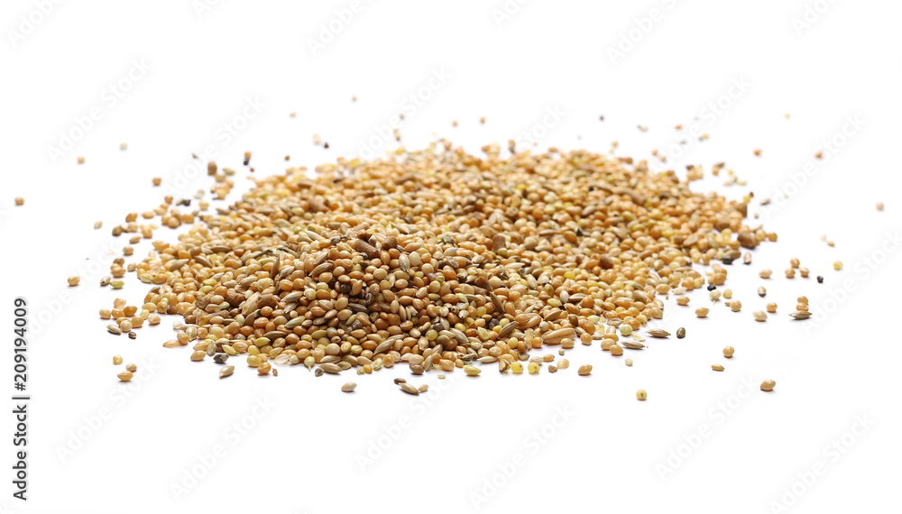 Mixed bird seeds, millet pile isolated on white background Mixed bird seeds, millet pile isolated on white background