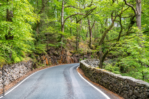 a corner in the road through the Aberglaslyn gorge north wales photo