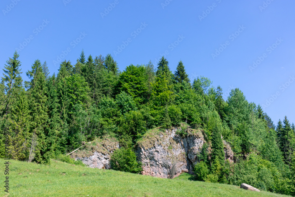 Huge, tree-covered rocks, red and white limestone, Homole Gorge Huge, tree-covered rocks, red and white limestone, Homole Gorge