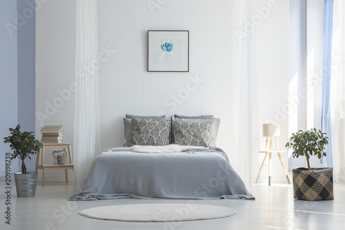 Grey bed between plants in white simple bedroom interior with poster and round rug. Real photo