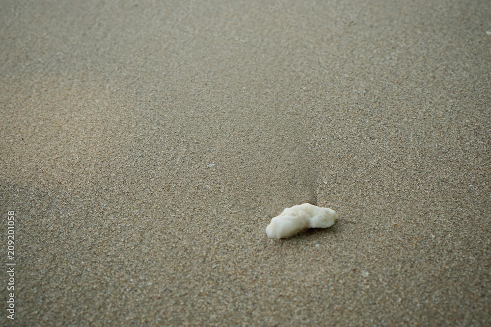 Too soft, Sand texture abstract background. Sandy beach for background. Top view. space for your text. Too soft, Sand texture abstract background. Sandy beach for background. Top view. space for your text.