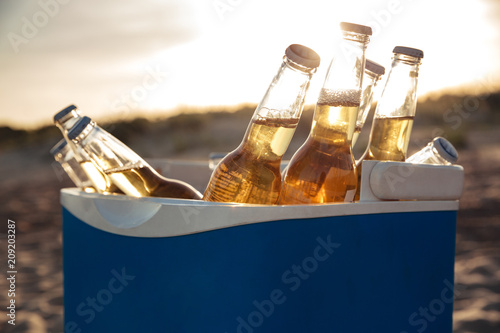 Canvas Print Close up of beer bottles cooling in an icebox