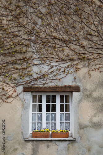 Window boxes with flowers at a typical French house © Michael Evans