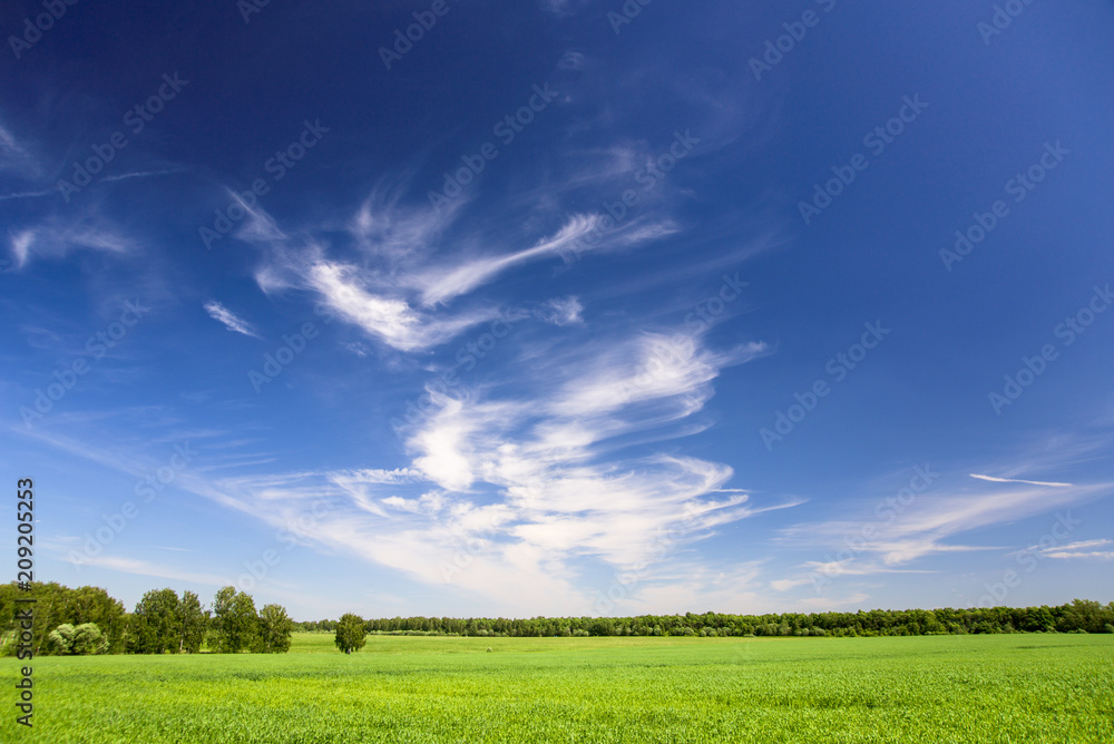 Obraz premium landscape with perfect sky