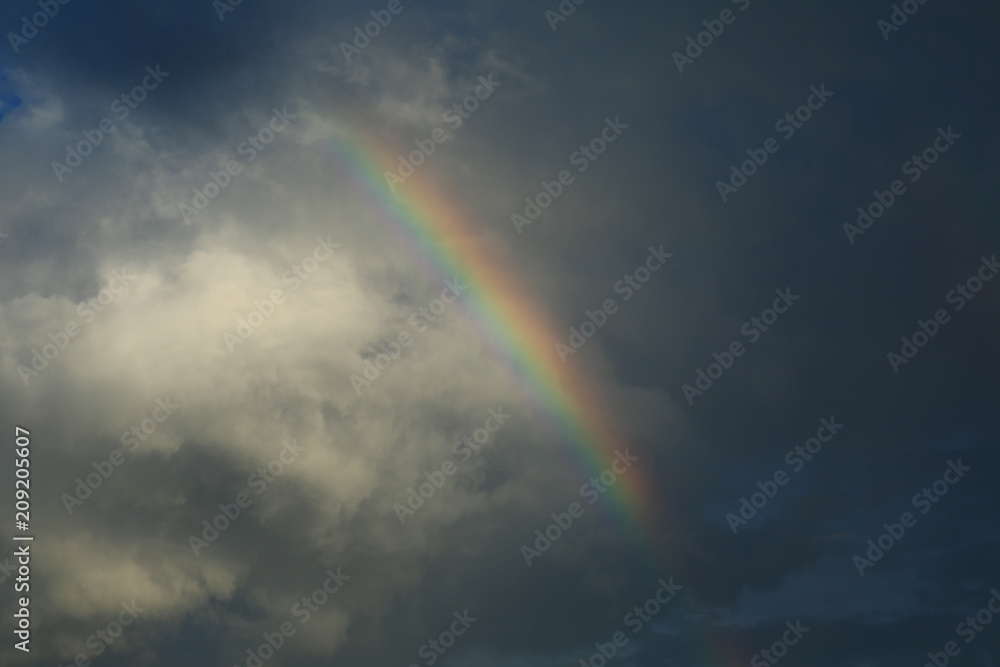 Rainbow Rainbow