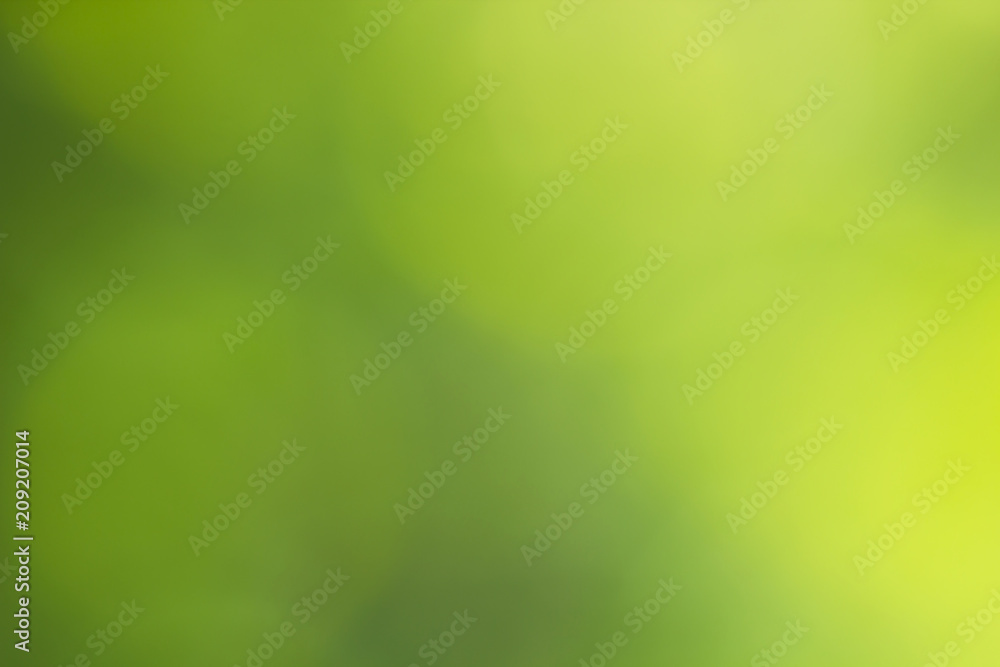 Abstract green blurred background. Spring defocused organic light backdrop for design Abstract green blurred background. Spring defocused organic light backdrop for design