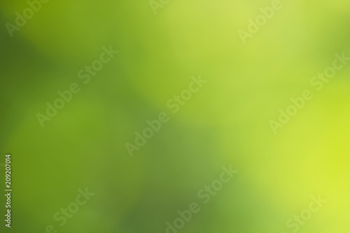 Abstract green blurred background. Spring defocused organic light backdrop for design