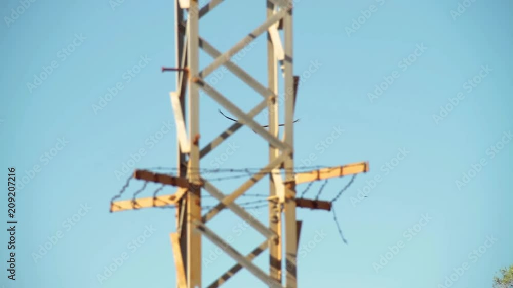 A long shot of a hawk flying freely on a blue sky. The shot is taken under a sunny day. A long shot of a hawk flying freely on a blue sky. The shot is taken under a sunny day.