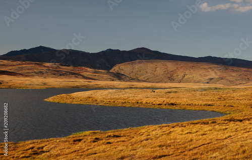 Colorful sunset above highland steppe shore of lake with dry yellow grass on the background of rocky mountains under clear sky