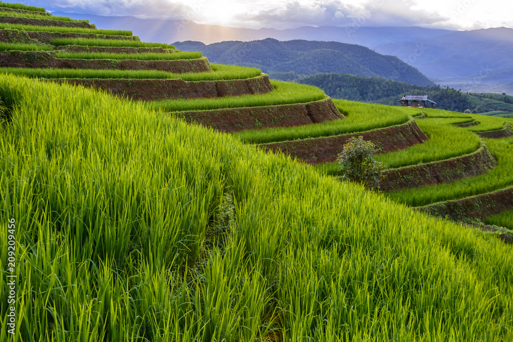 Fototapeta premium Beautiful step of rice terrace paddle field in sunset at Chiangmai, Thailand. Chiangmai is beautiful in nature place in Thailand, Southeast Asia. Travel concept.