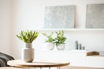 Fresh flowers in white vase placed on small table in bright room interior with paintings, potted plants and candles on shelves in blurred background
