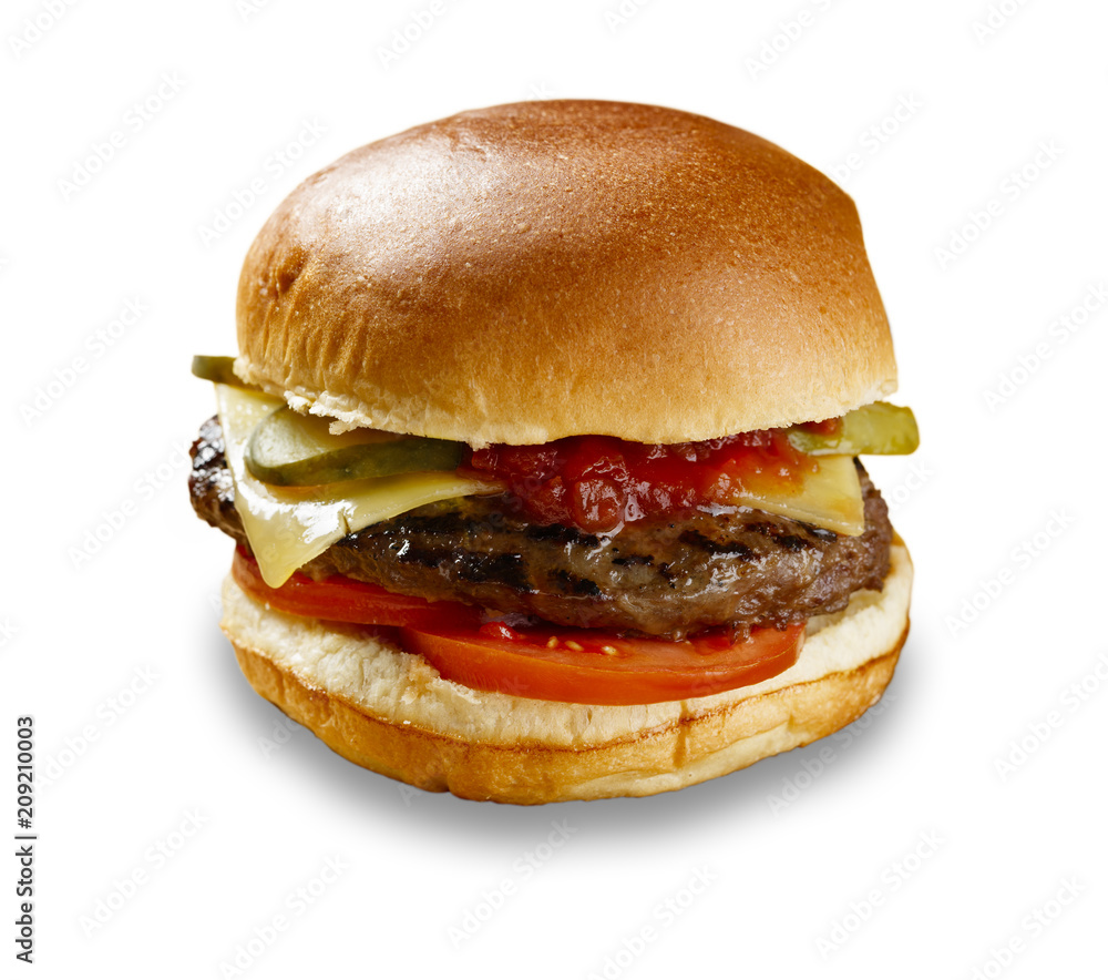 Delicious cheeseburger shot on white